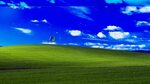 Windows XP Wallpapers - 4k, HD Windows XP Backgrounds on Wal
