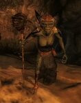 Goblin Witch Elder Scrolls Fandom