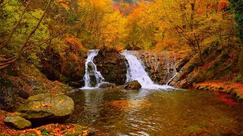 Скачать обои Водопад, Осень, Лес, Fall, Autumn, Waterfall, F