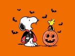 Snoopy Halloween T-Shirt (2XL Size Available) Snoopy hallowe