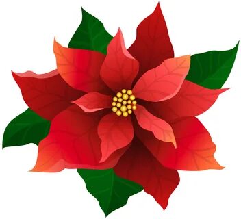 Poinsettias clipart clip art, Picture #1931753 poinsettias c