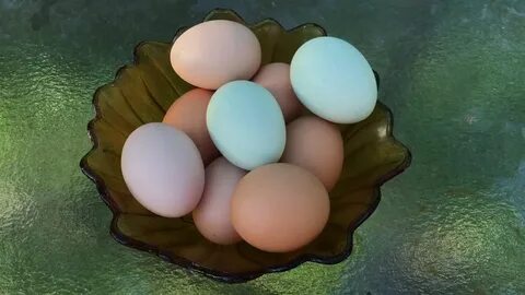 My Easter egger eggs- free range chicken eggs - YouTube