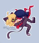 Pin by Gustavo Walder on Chat Noir & Ladybug Miraculous lady