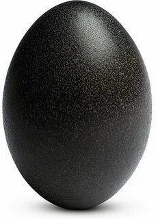 Apakah telur hitam di meja House merujuk pada 'Egg of Columb