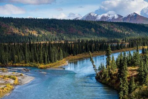 River landscape in Denali district, Alaska River, Wonders of