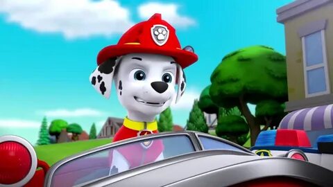 Marshall - PAW Patrol Photo (40263230) - Fanpop - Page 3