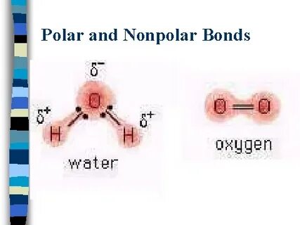 Difference Between Polar And Nonpolar Dielectrics Diagram Da