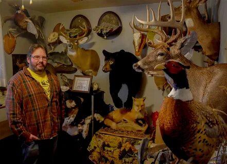 Contact - Wildlife Creations Taxidermy