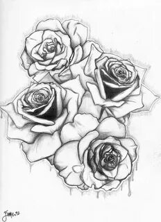 Pin by Anita Sieminski on Tattoos Roses drawing, Rose drawin