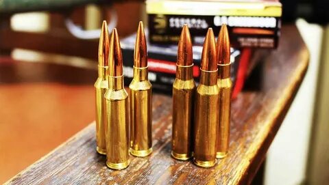 The Bottom Line on the 6.5 Creedmoor versus .308 - Techonlin