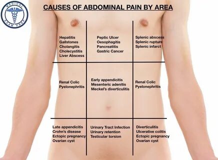 Organ Pain In Left Side Of Back : Lower left back pain - Causes and.