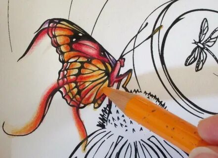 EASY COLOURING TUTORIAL: How to colour a Butterfly with colo