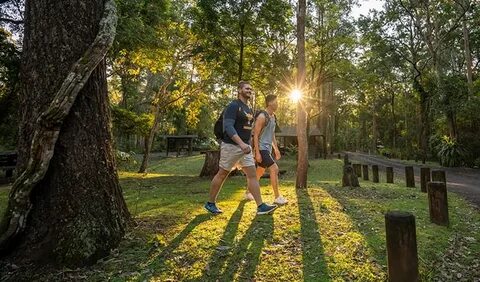 Sheepstation Creek campground NSW National Parks