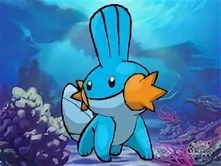 EuphoricSpice - Cartoons - Mudkip