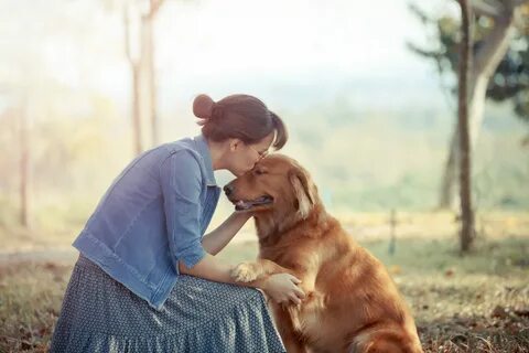 Homöopathie für Hunde: Wirkung, Dosierung & Behandlung