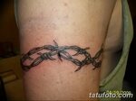 фото тату колючая проволока от 26.07.2017 № 079 - Tattoo bar