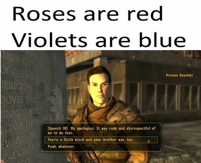 New Vegas Poem Cat Memes Fallout funny, Fallout meme, Fallou