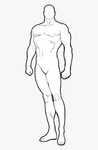 Muscular Male Body Base, HD Png Download - kindpng
