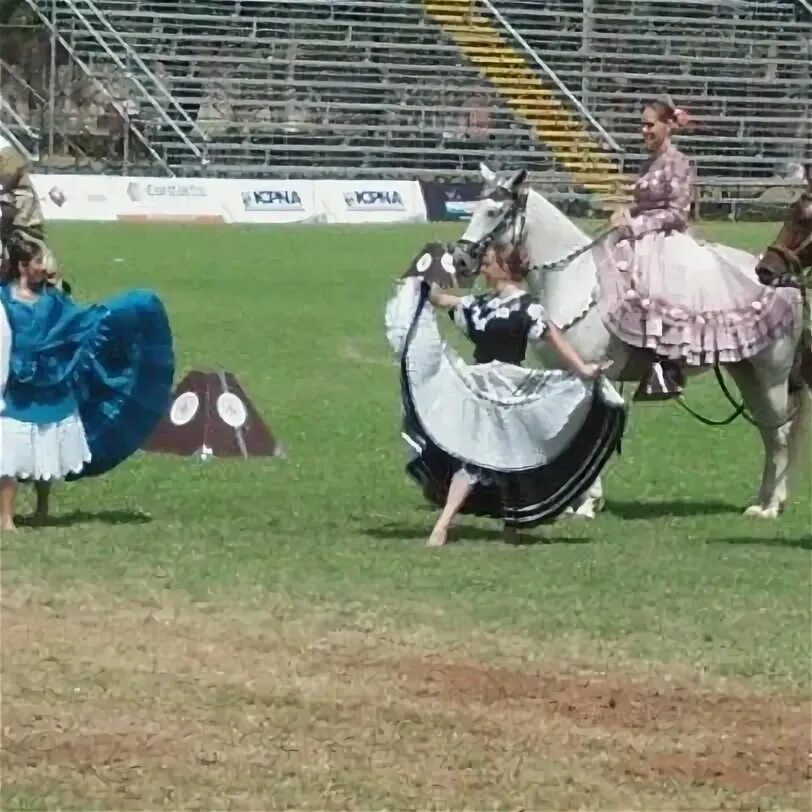 Asociación Nacional da Criadores y Propietarios ta Caballo d