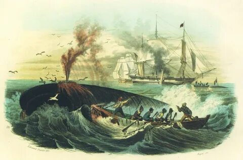 File:Todesstoß auf einen Wal (1840).jpg - Wikimedia Commons