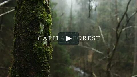 "Capital Forest" on Vimeo