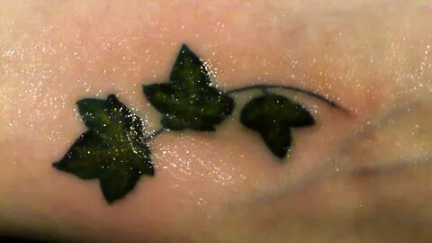 Small Ivy Tattoo - Tattoos Concept