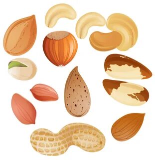 tree nuts clipart - image #16