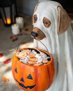Outdoor Life-Sized Candy Bowl Ghost Dog Balsam Hill Ghost do