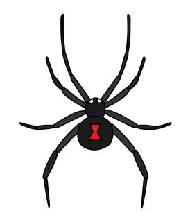 How To Draw A Black Widow Spider Easy