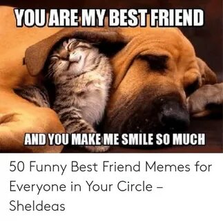 🐣 25+ Best Memes About You Are My Best Friend Meme You Are M