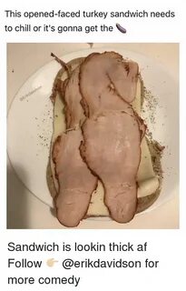 This Opened-Faced Turkey Sandwich Needs to Chill or It's Gon