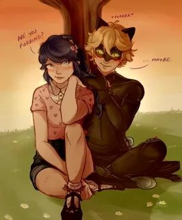 Two sides of the same coin Chat fluff & Sin Noir Marichat re
