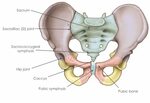Pelvic girdle what now?! - Bump and Beyond