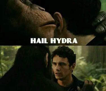 Marvel At This Winter Soldier Inspired Meme - Hail Hydra Fun