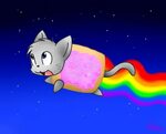 Nyan Cat by Spice5400 on DeviantArt Nyan cat, Dark disney, A