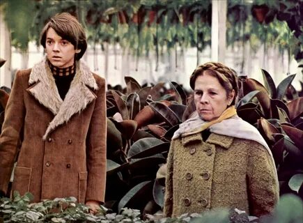 The Film Stage Show Classic - Harold and Maude