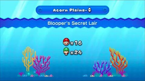 New Super Mario Bros.U Acorn Plains-Secret Level (All star c
