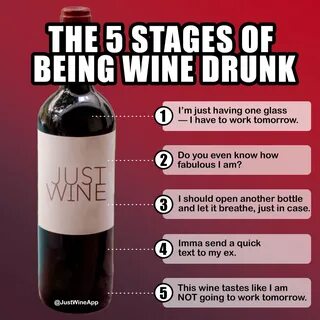 Drinking Wine Meme - Captions Profile