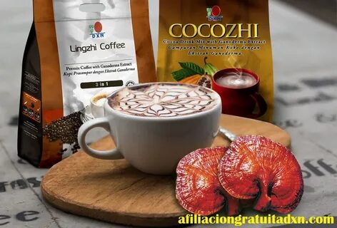 Lingzhi Coffee y Cocozhi DXN *en qué me pueden Ayudar? - Afi