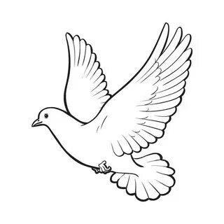 Vector white doves, pegions sketch icon set Stock Vector Ima