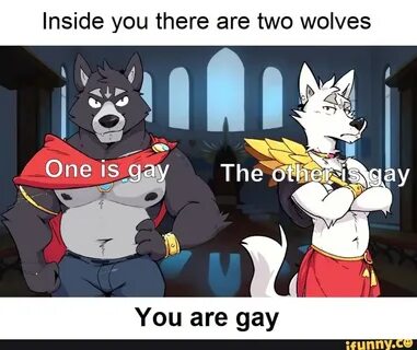 Inside you there are two wolves You are gay