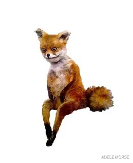 Taxidermy Fox Meme - Captions Beautiful