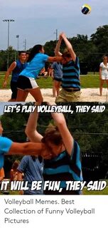 🐣 25+ Best Memes About Funny Volleyball Funny Volleyball Mem