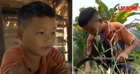 10-Year-Old Vietnamese Boy Survives Alone By Farming After H