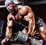 Bodybuilding Articles - Bodybuilding Information - Page 11 o