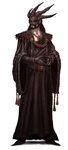 dragon cultist d&d - Google Search Character art, Character,
