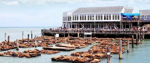 Pier 39, San Francisco Fisherman's wharf san francisco, San 