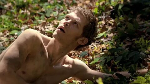 giu. в Твиттере: "klaus mikaelson, that's the tweet