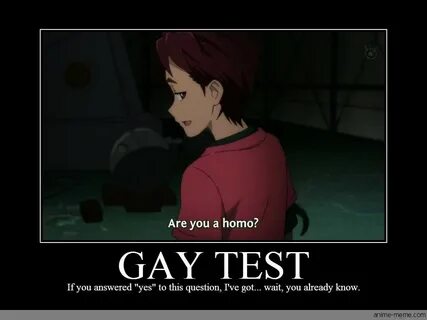 Gay Tests Anime Amino