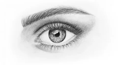 Realistic Drawings Eyes : Drawing A Realistic Eye with Color